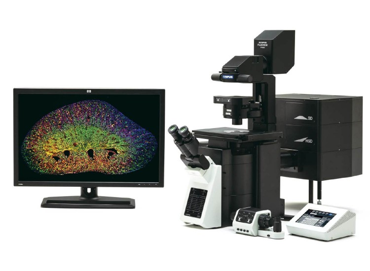 Olympus FV3000 Lazer Taramalı Mikroskop Sistemi