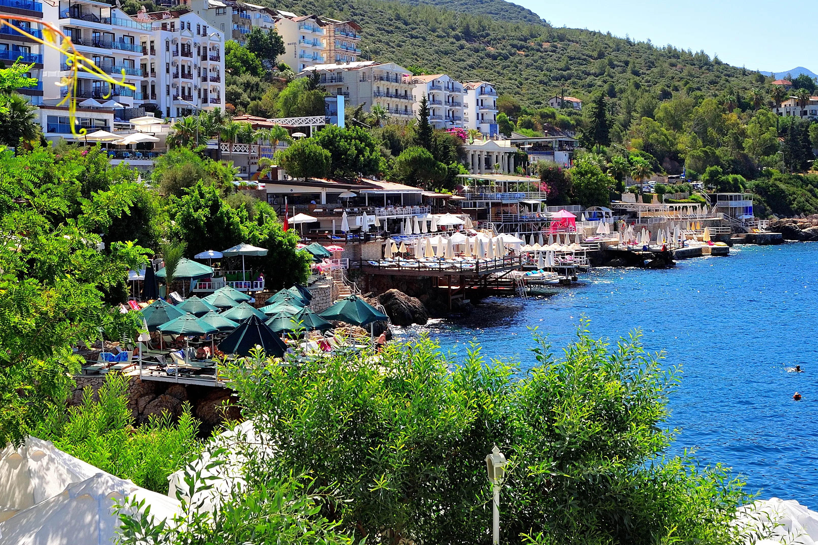 1568105781_kas2.webp