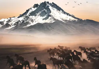 1644928007_kayseri1.webp
