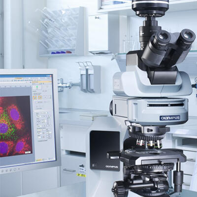 1556881878_infectious-diseasesweb.jpg