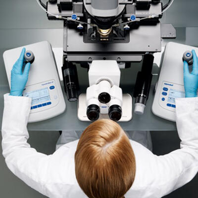 1556882534_ivf.jpg