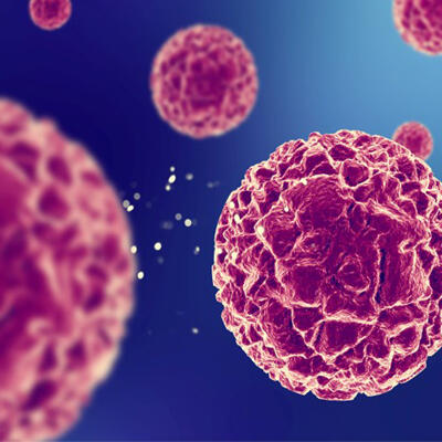 1556882534_microbiology-infection.jpg