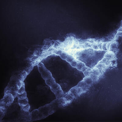 1556882534_stem-cell.jpg